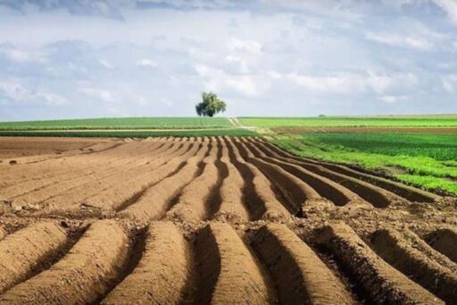 Agricultural Land Market: Transition to a Structural Model or a Phase of Cautious Growth