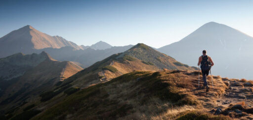 The Tourism Market Reacts to the War in the Middle East: Demand Falls and Holiday Prices Decline